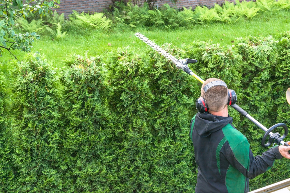 Best Long Reach Hedge Trimmers