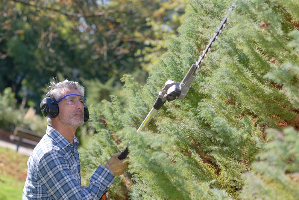Man using extendable hedgecutter