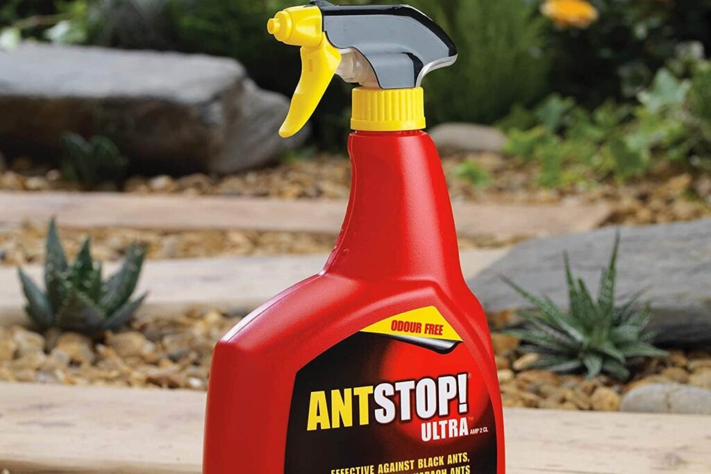 how to make ant killer