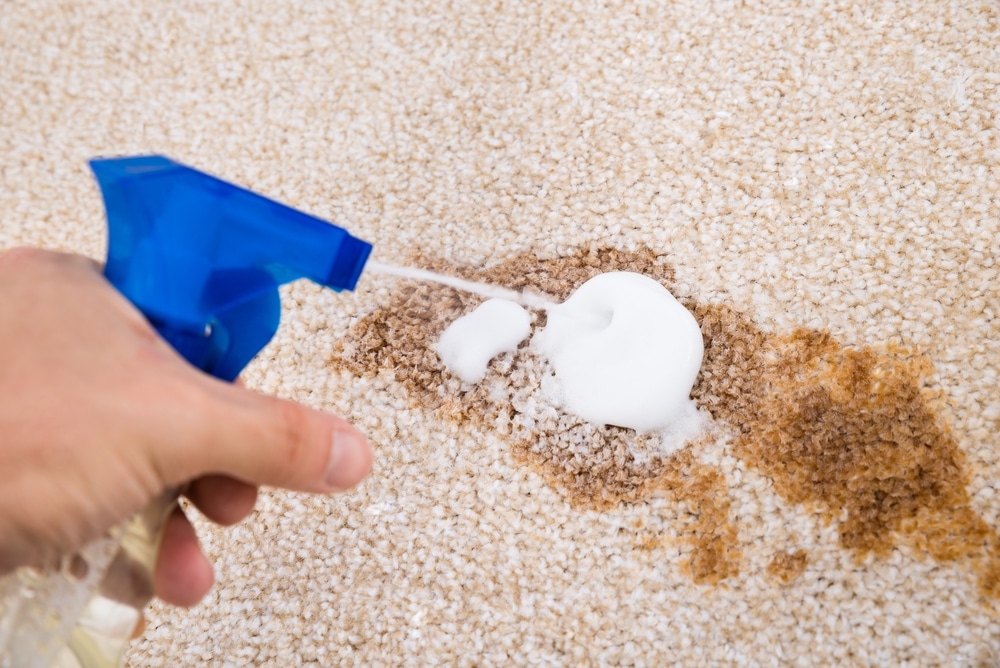 What to Put in a Carpet Cleaner
