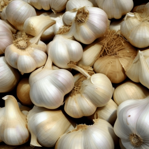 a handful of garlic