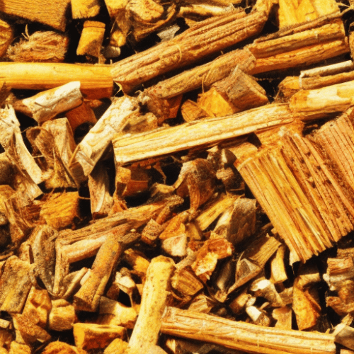 biomass fuel