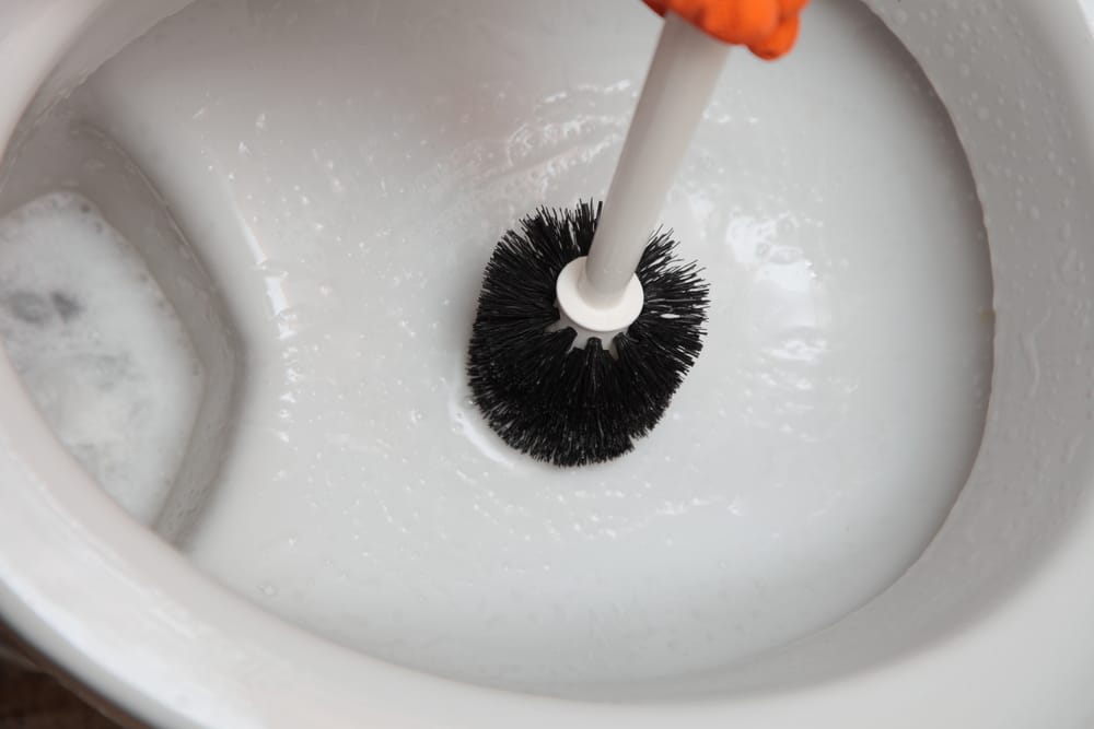 how to unblock a toilet with a toilet brush
